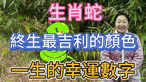 蛇 數字|生肖屬」蛇」與屬「馬」開啟幸運之門的數字能量密碼「2738。